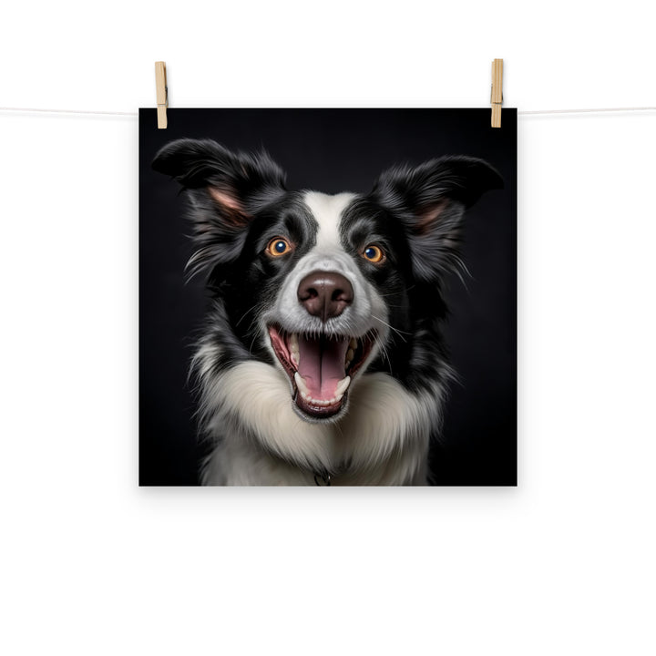 Border Collie Photo paper poster - PosterfyAI.com