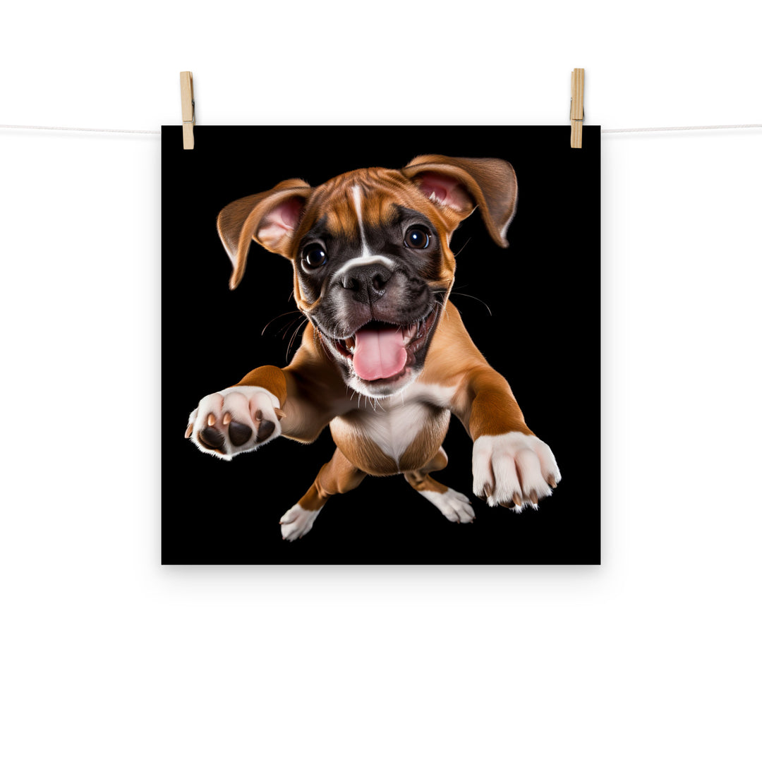 Boxer Photo paper poster - PosterfyAI.com