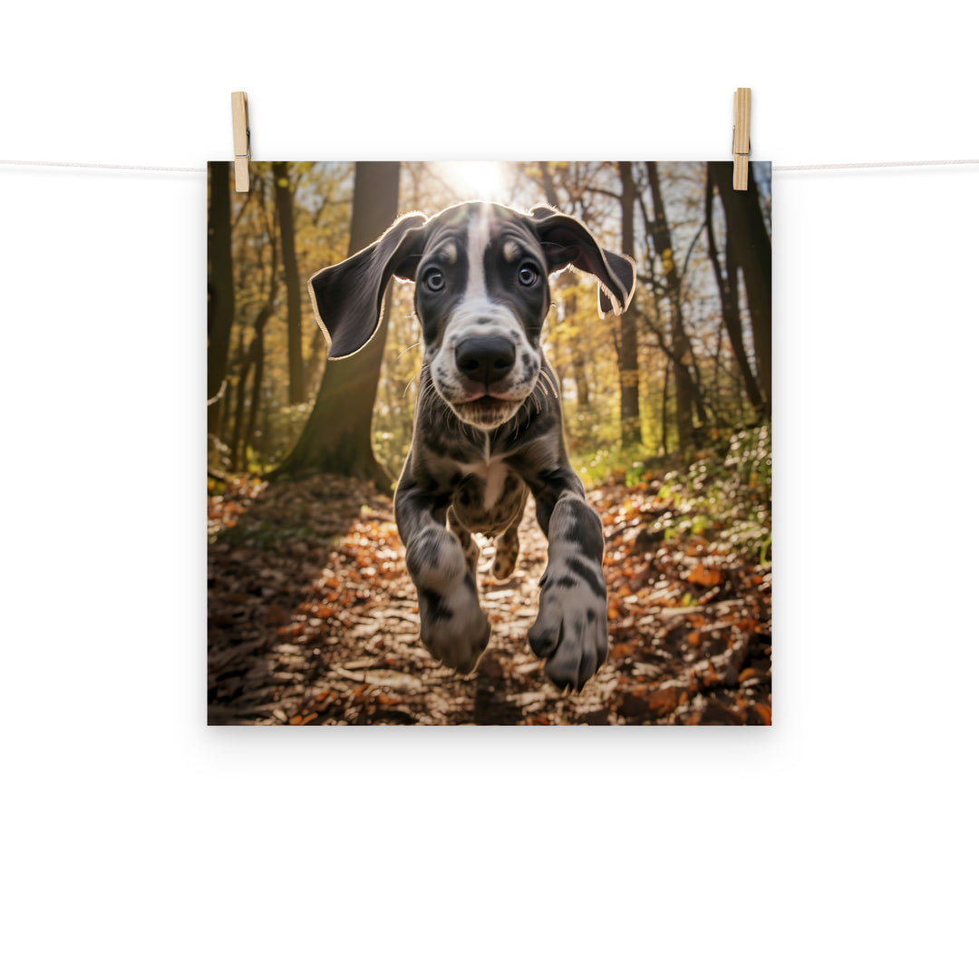 Great Dane Photo paper poster - PosterfyAI.com