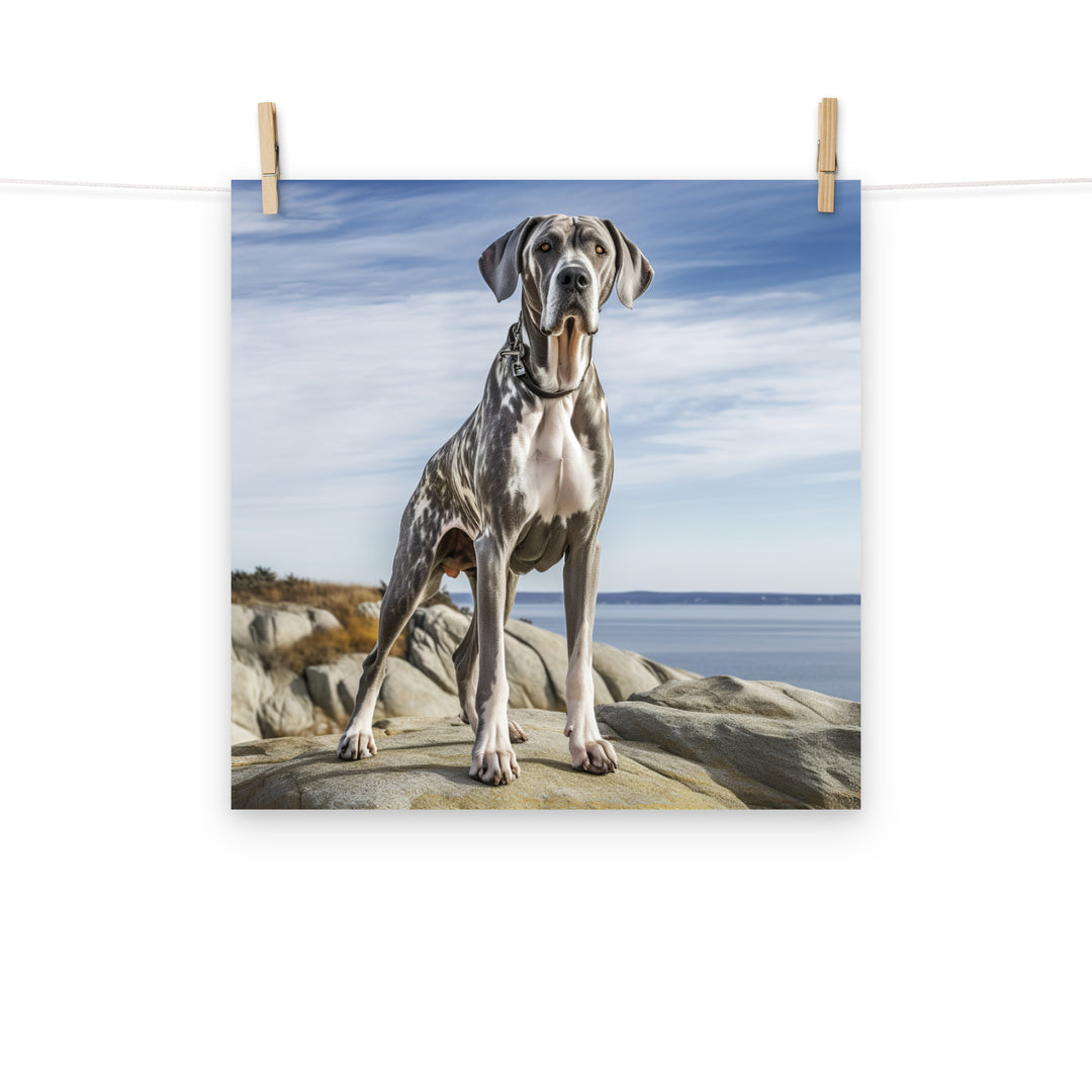 Great Dane Photo paper poster - PosterfyAI.com