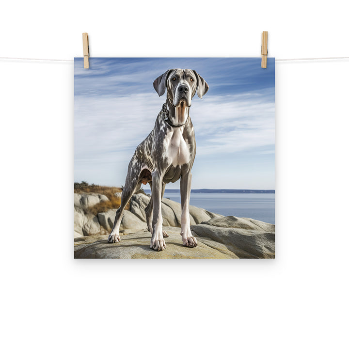 Great Dane Photo paper poster - PosterfyAI.com