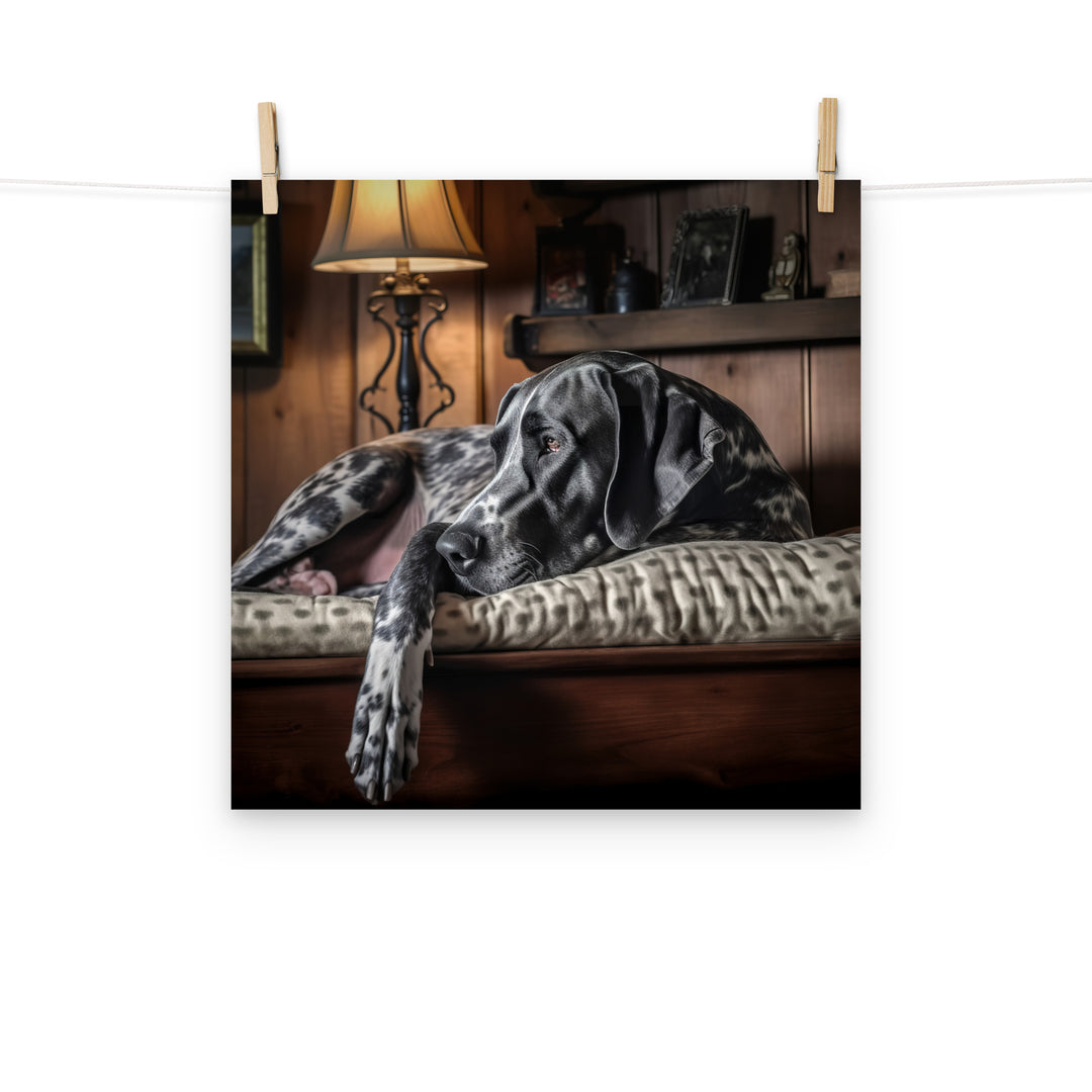 Great Dane Photo paper poster - PosterfyAI.com