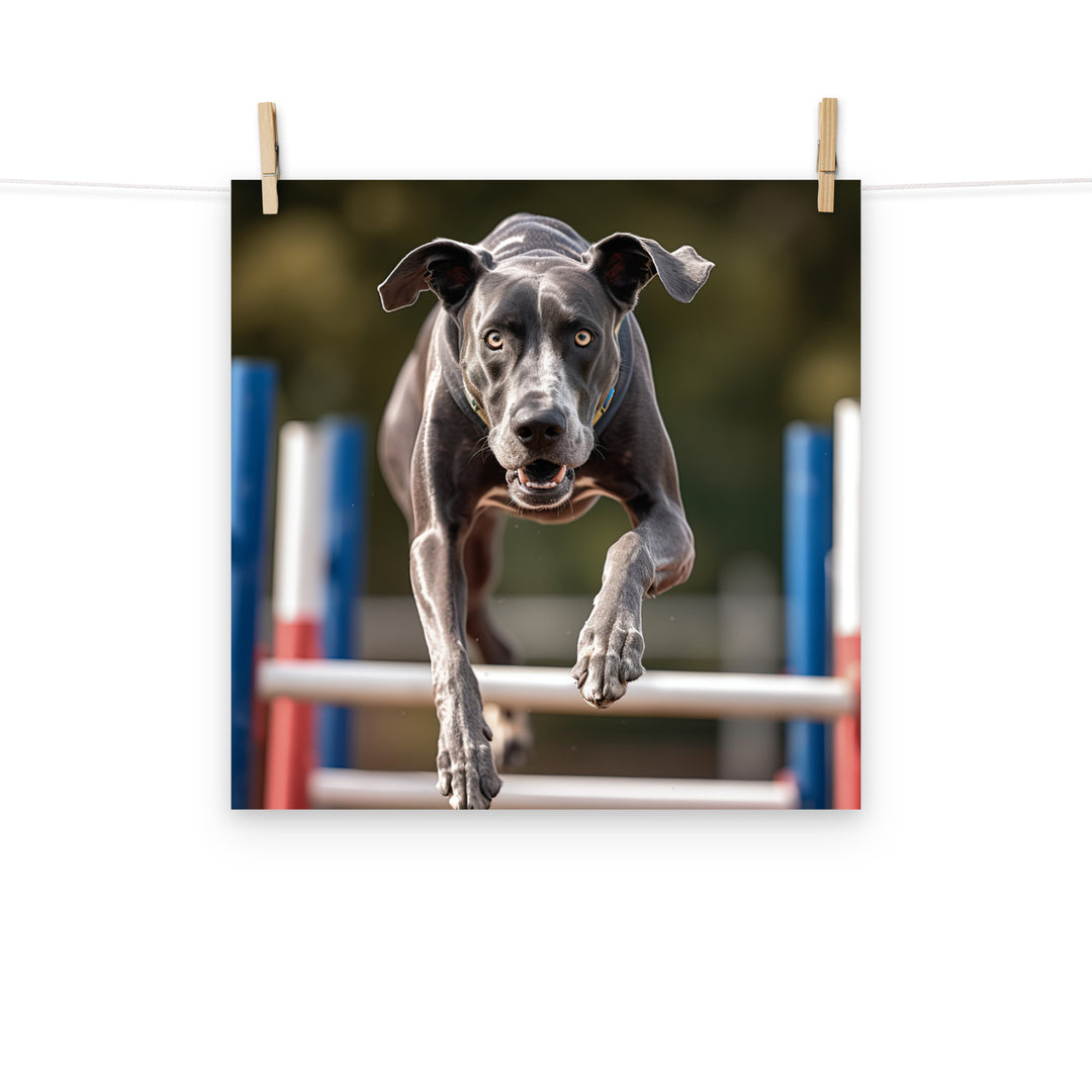 Great Dane Photo paper poster - PosterfyAI.com