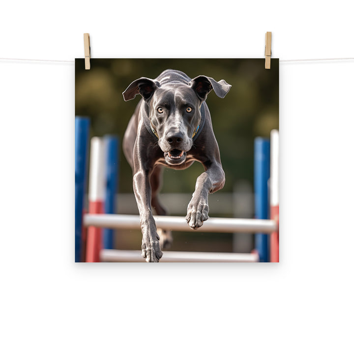 Great Dane Photo paper poster - PosterfyAI.com
