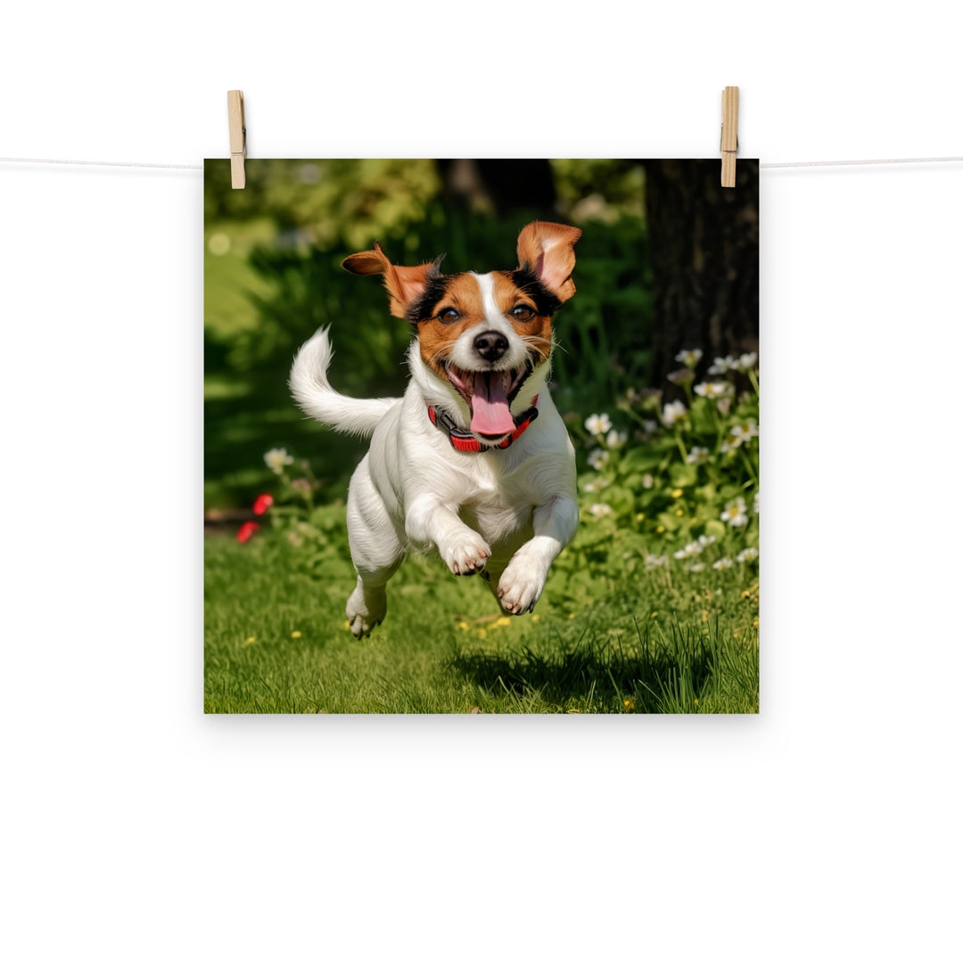 Jack Russell Terrier Photo paper poster - PosterfyAI.com