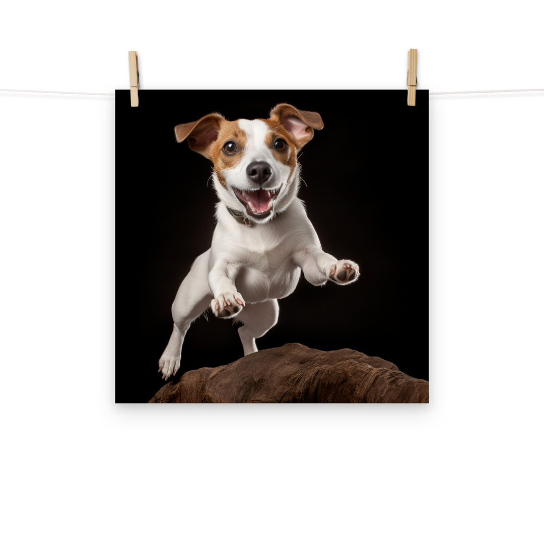 Jack Russell Terrier Photo paper poster - PosterfyAI.com