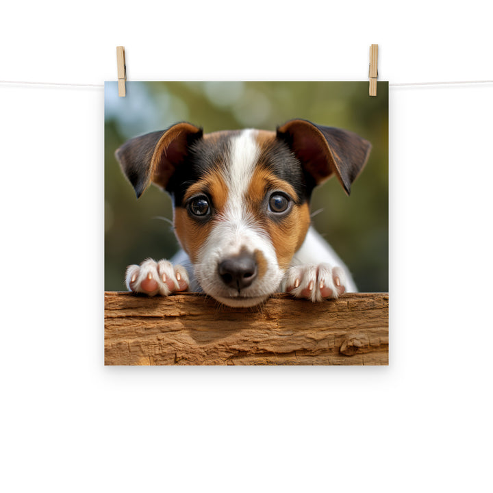 Jack Russell Terrier Photo paper poster - PosterfyAI.com