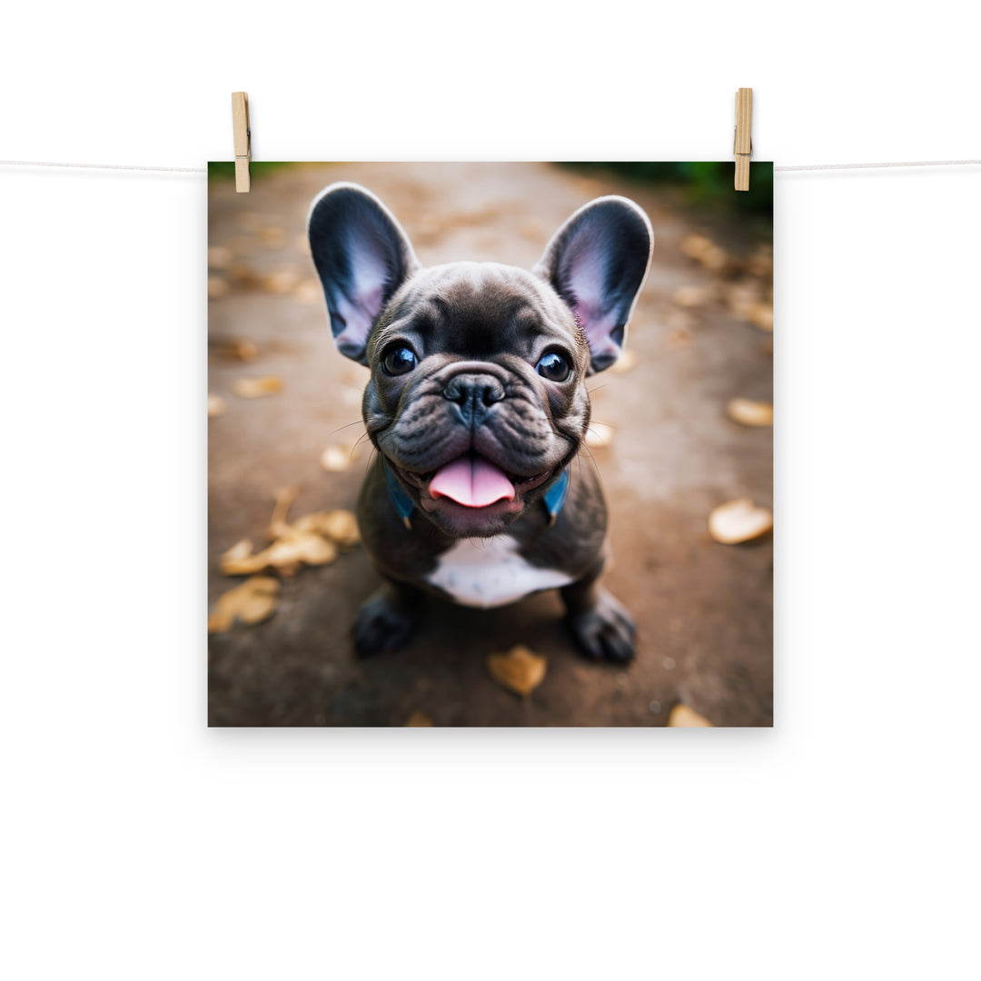 French Bulldog Photo paper poster - PosterfyAI.com