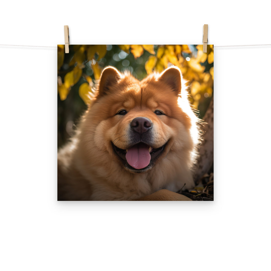 Chow Chow Photo paper poster - PosterfyAI.com