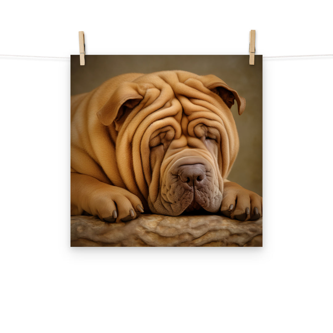 Shar Pei Photo paper poster - PosterfyAI.com