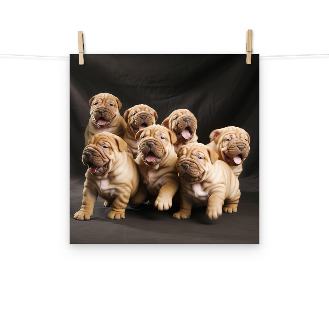 Shar Pei Photo paper poster - PosterfyAI.com