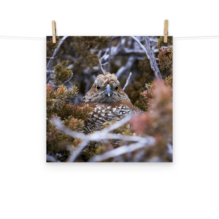 Grouse Photo paper poster - PosterfyAI.com
