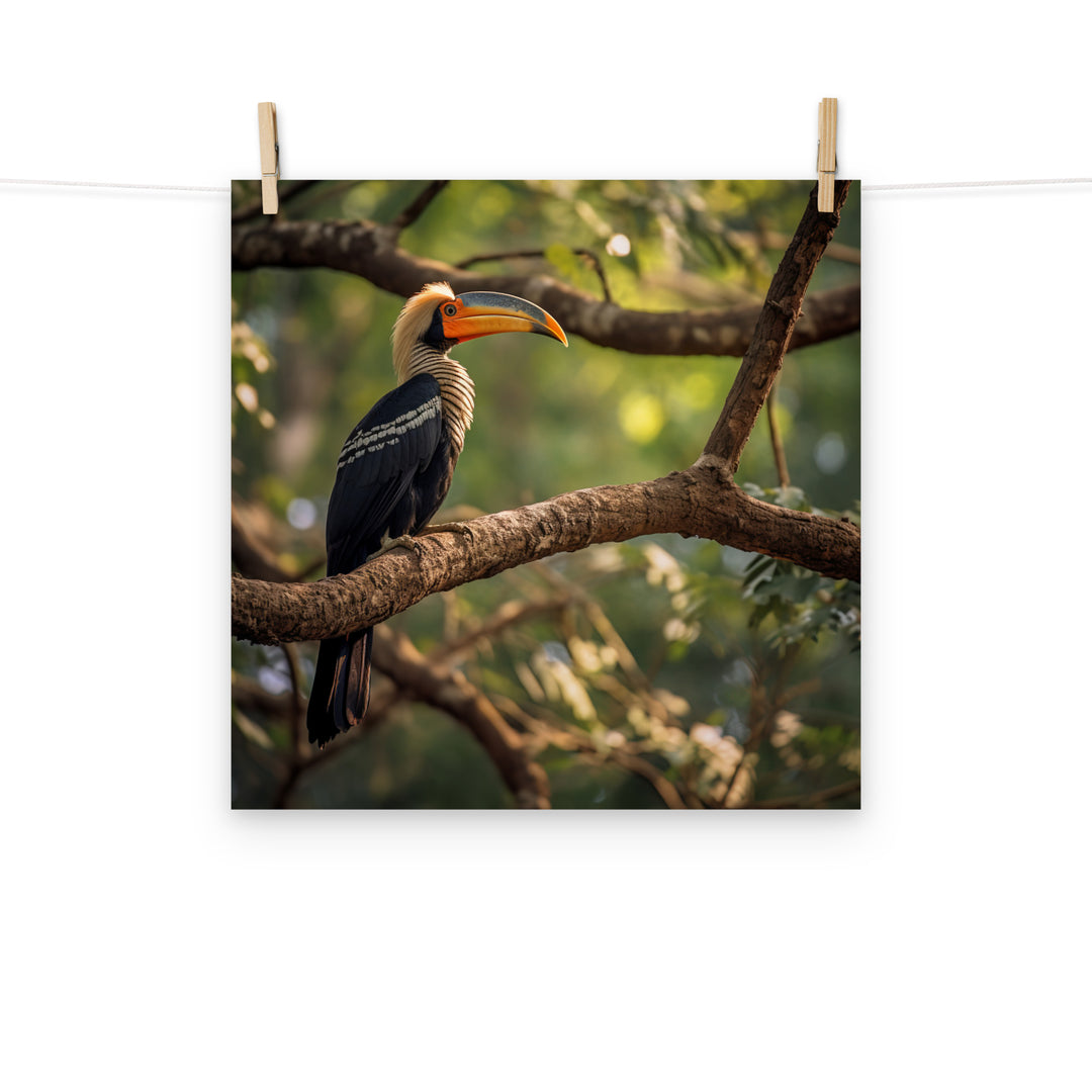 Hornbill Photo paper poster - PosterfyAI.com