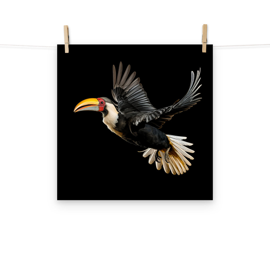 Hornbill Photo paper poster - PosterfyAI.com
