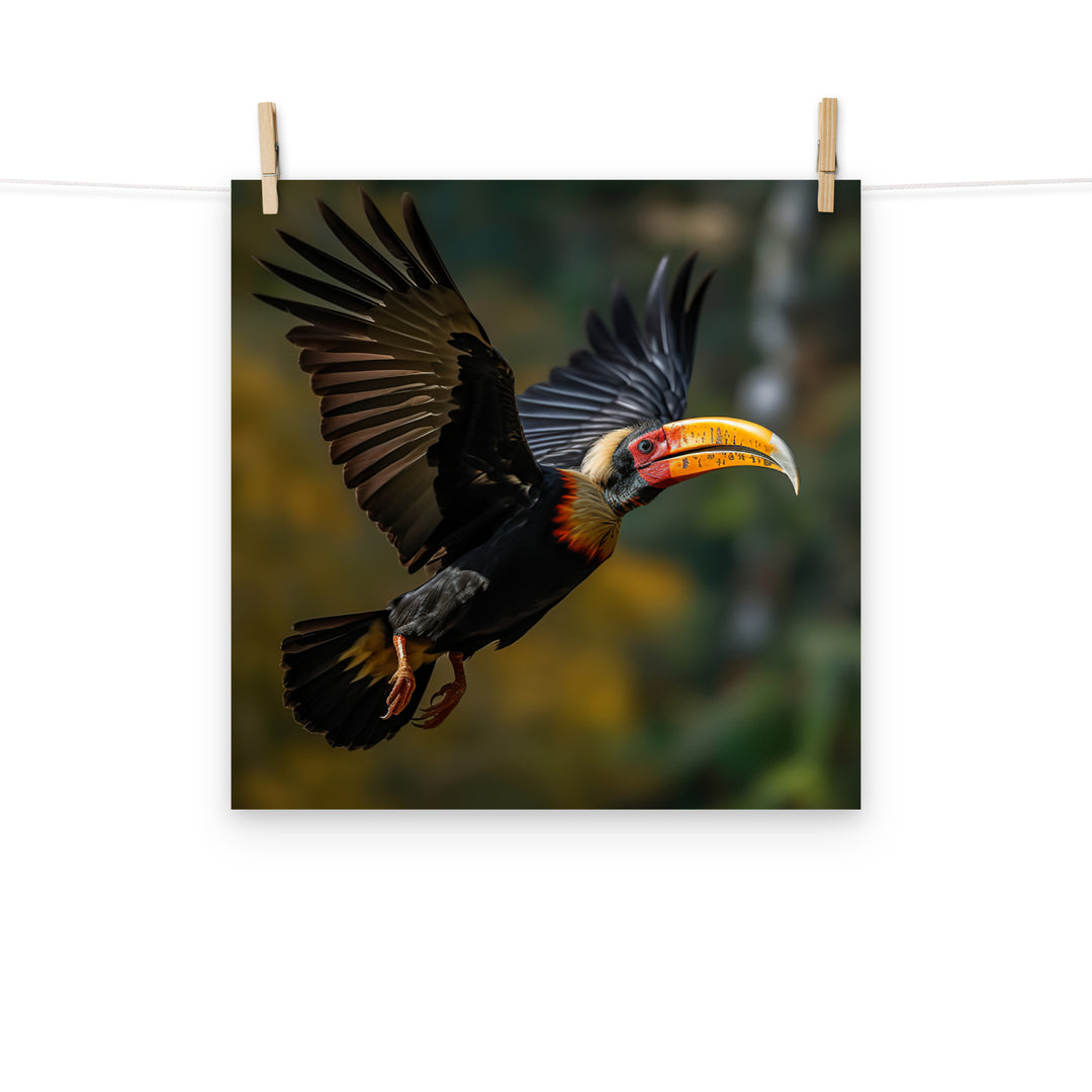 Hornbill Photo paper poster - PosterfyAI.com