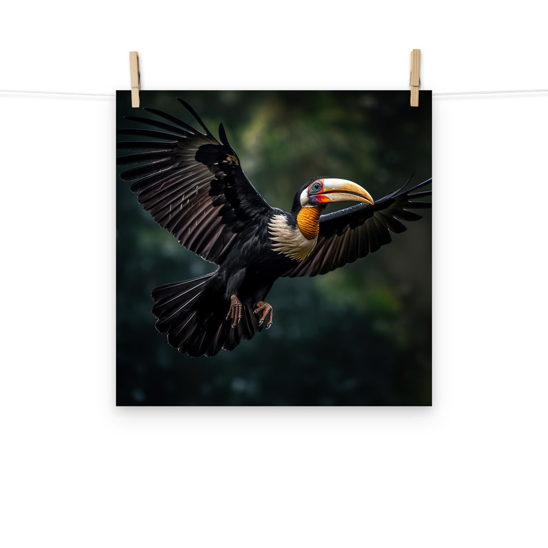 Hornbill Photo paper poster - PosterfyAI.com