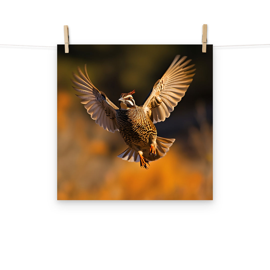 Quail Photo paper poster - PosterfyAI.com