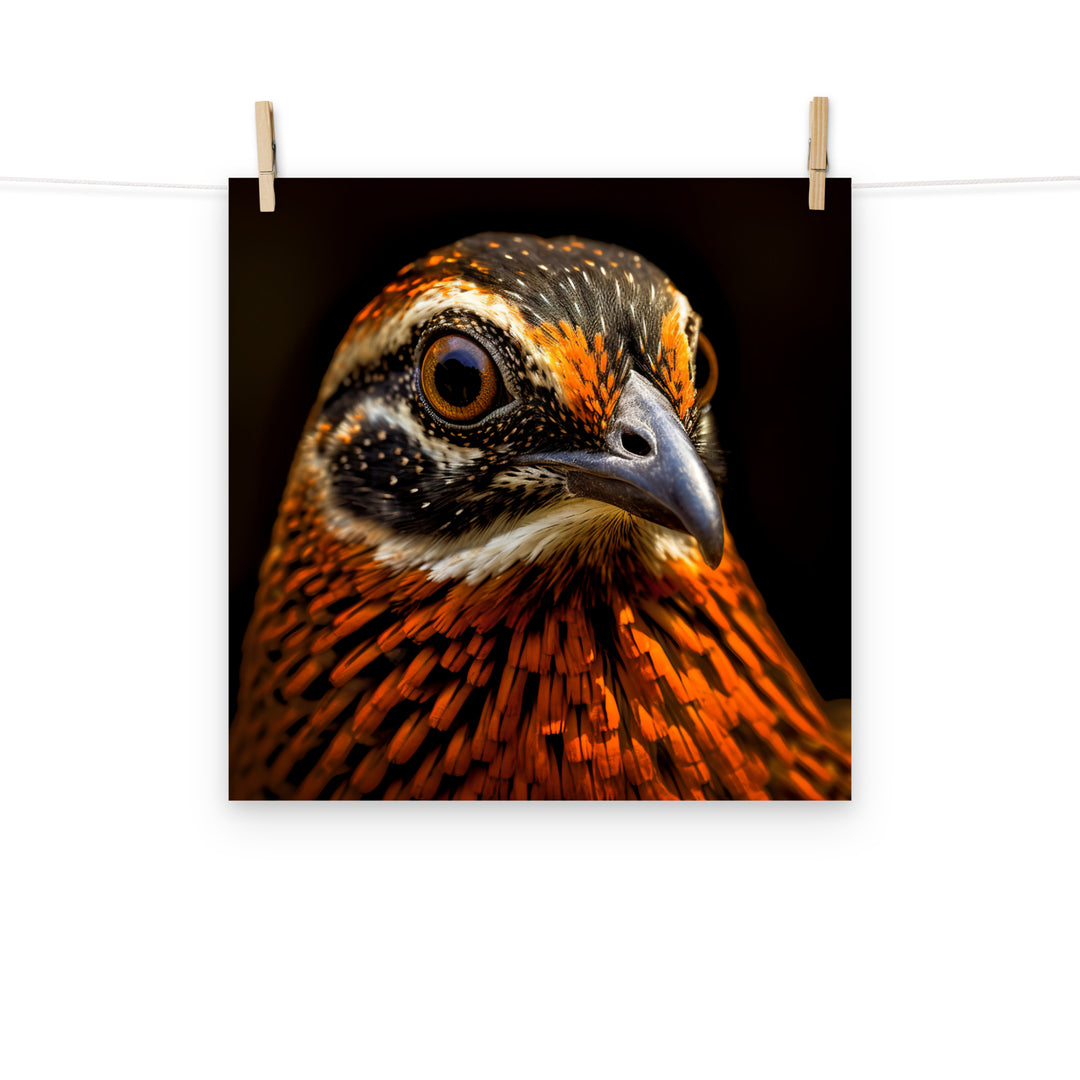 Quail Photo paper poster - PosterfyAI.com