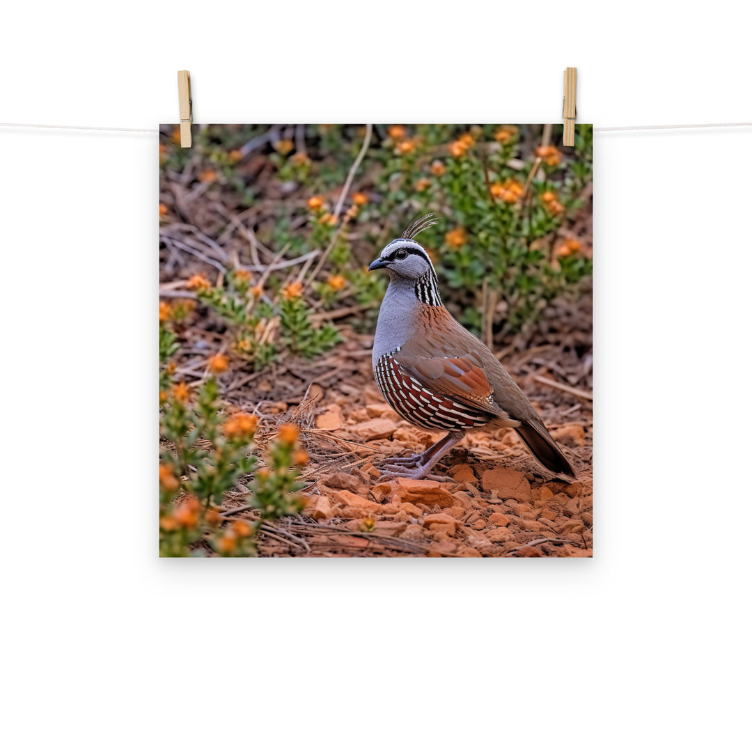 Quail Photo paper poster - PosterfyAI.com