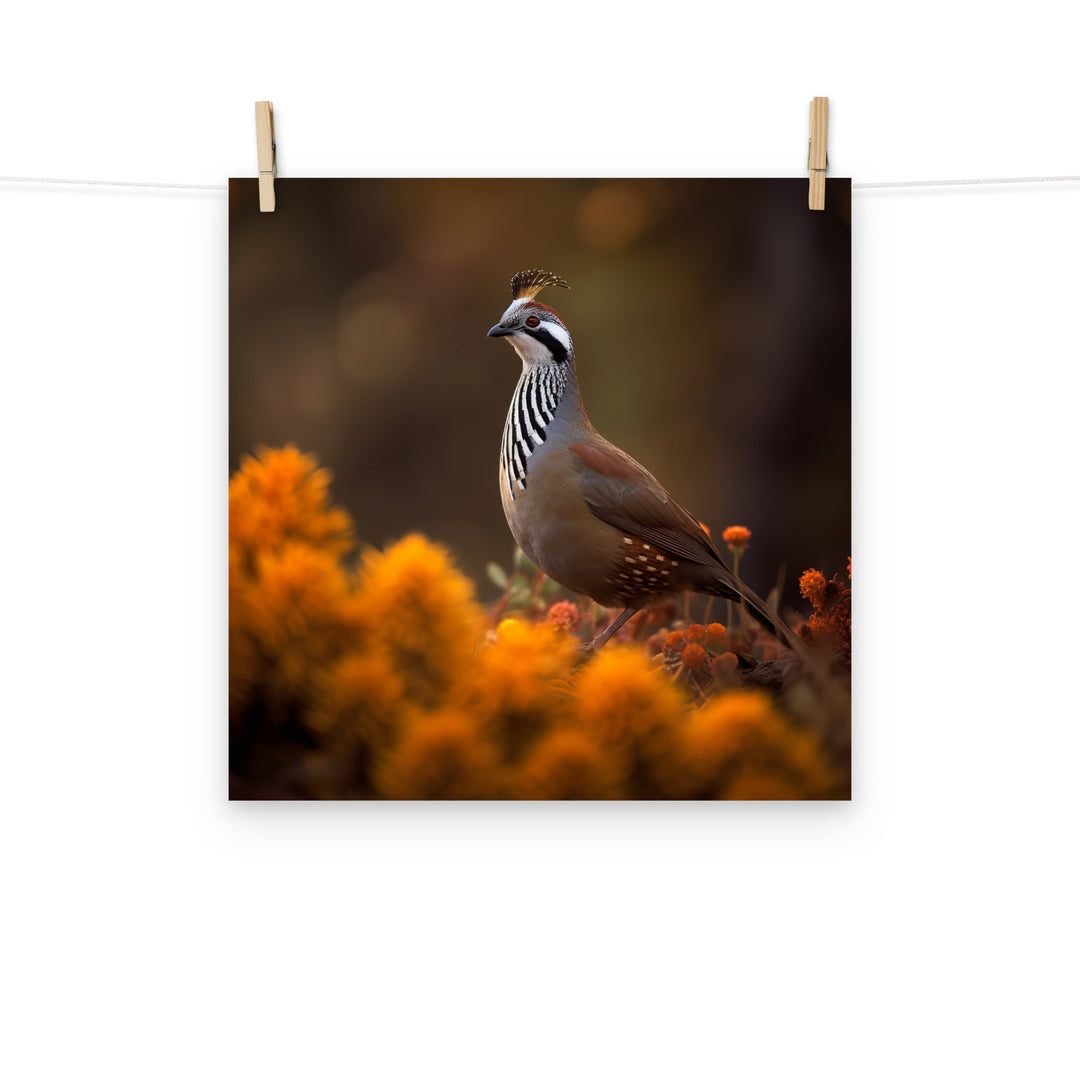 Quail Photo paper poster - PosterfyAI.com