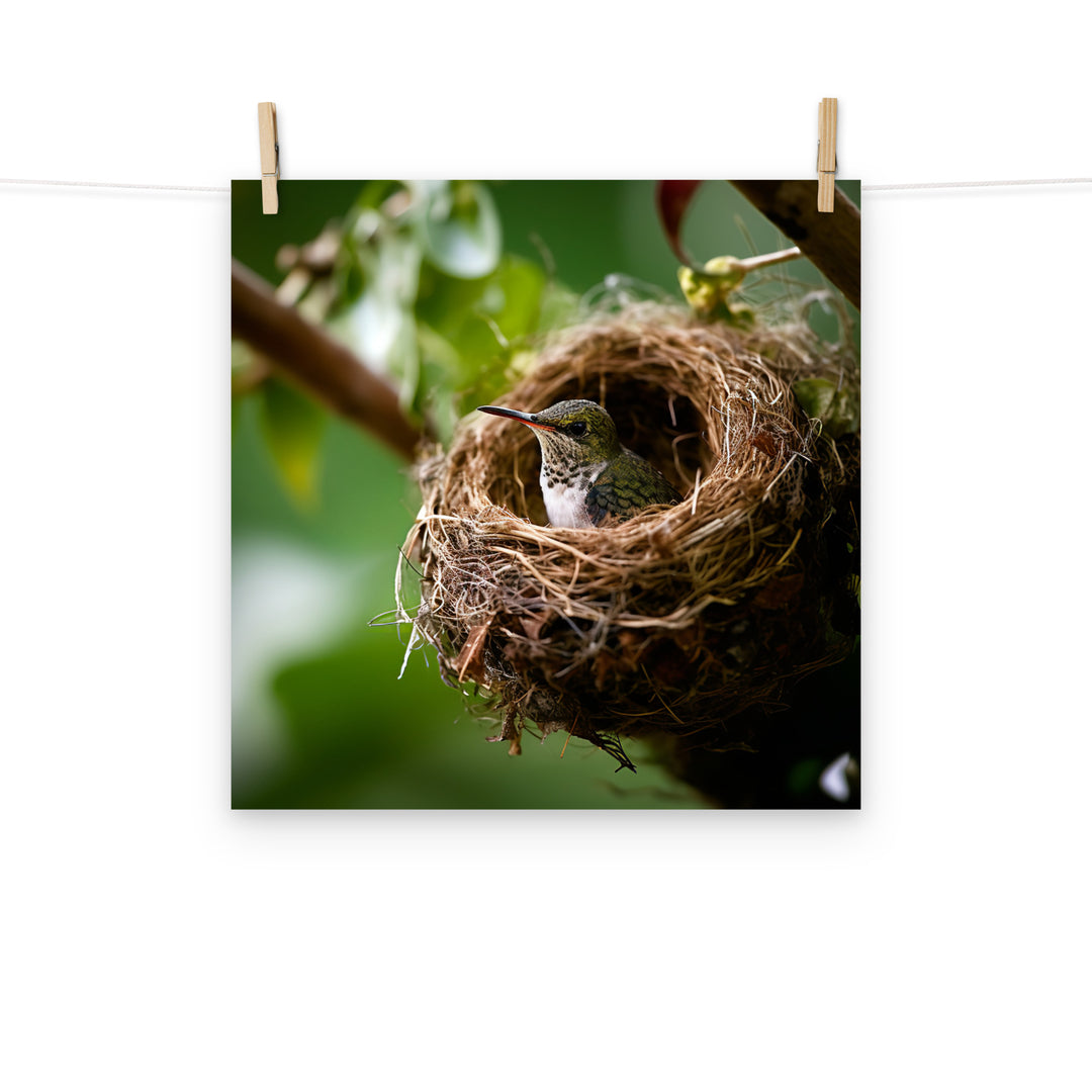 Hummingbird Photo paper poster - PosterfyAI.com