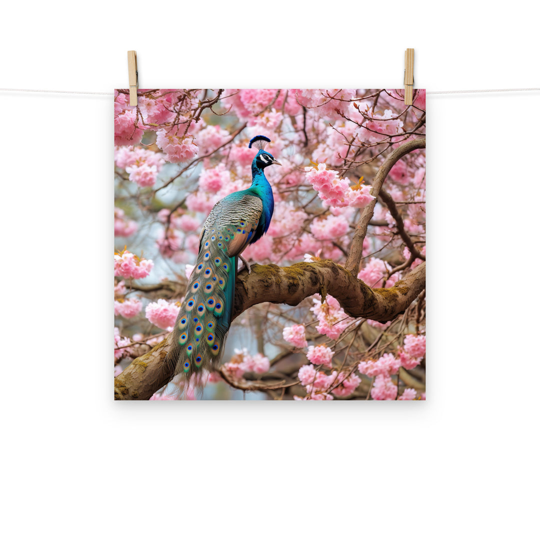 Peacock Photo paper poster - PosterfyAI.com