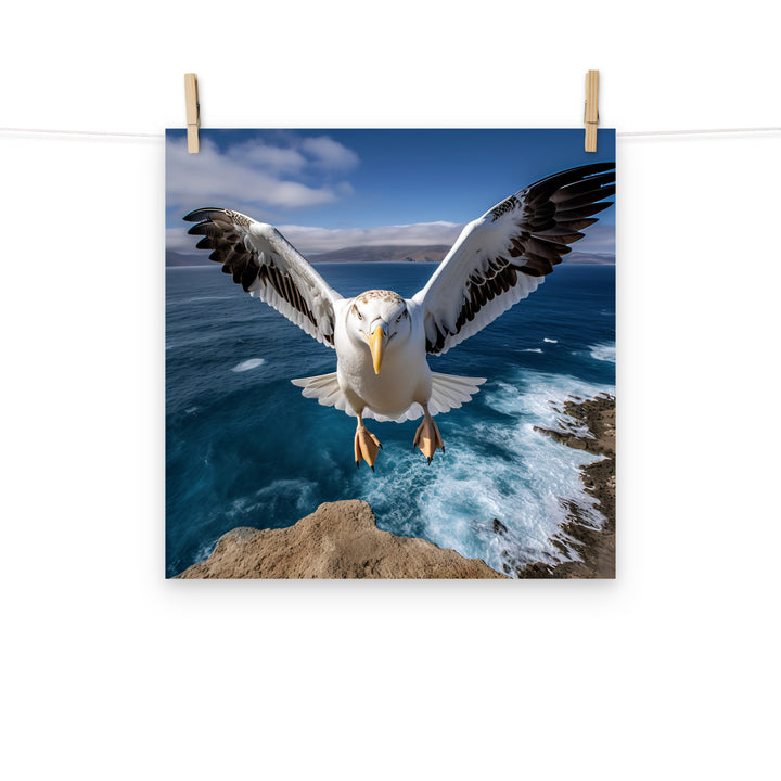 Albatross Photo paper poster - PosterfyAI.com