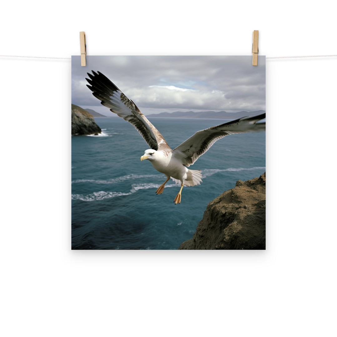 Albatross Photo paper poster - PosterfyAI.com