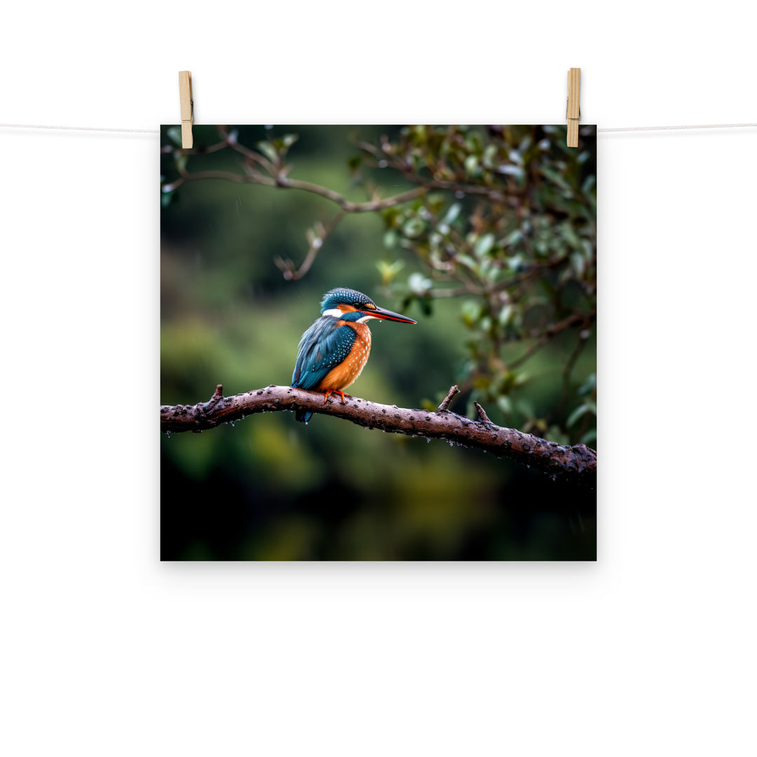 Kingfisher Photo paper poster - PosterfyAI.com