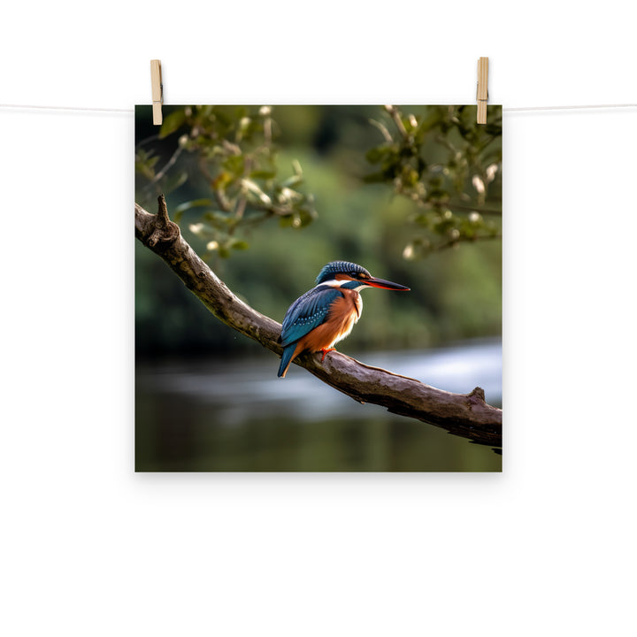 Kingfisher Photo paper poster - PosterfyAI.com