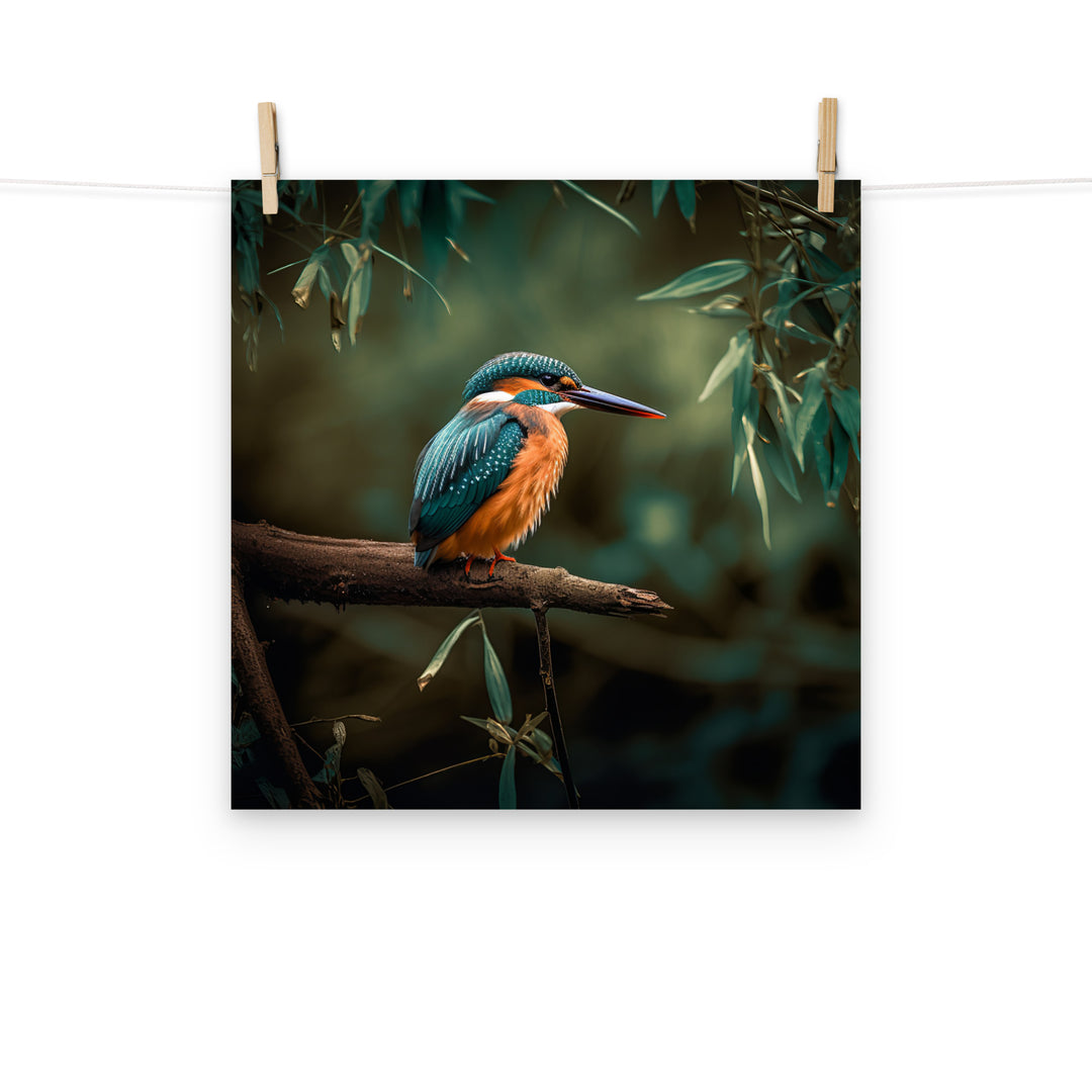 Kingfisher Photo paper poster - PosterfyAI.com