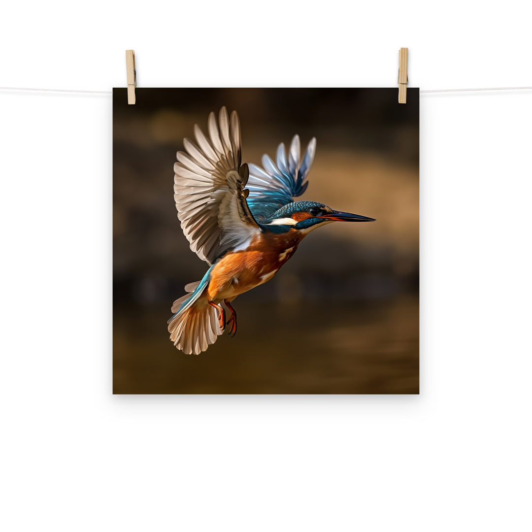 Kingfisher Photo paper poster - PosterfyAI.com