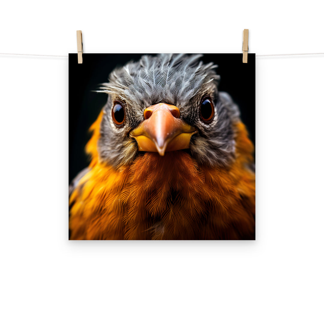 Finch Photo paper poster - PosterfyAI.com