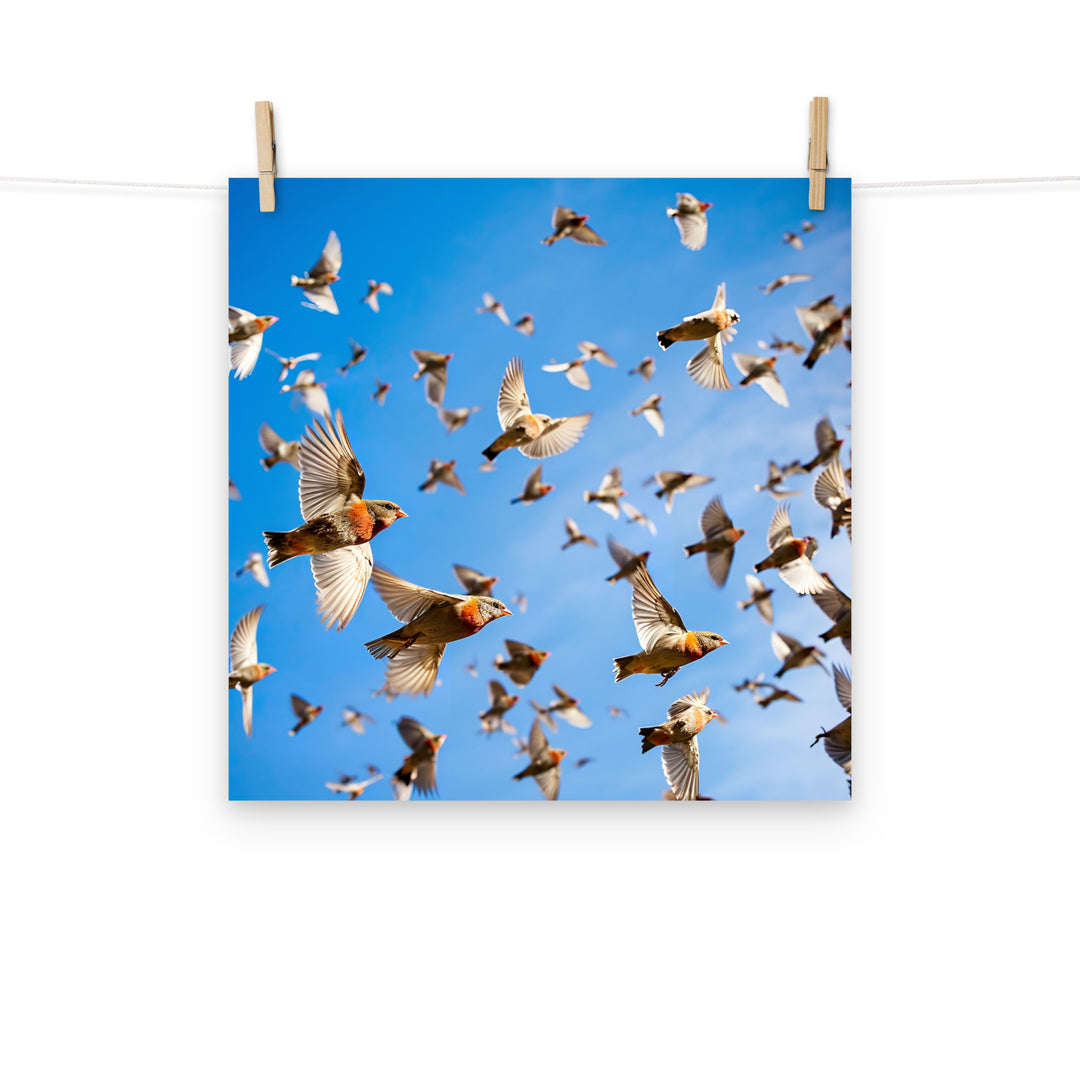 Finch Photo paper poster - PosterfyAI.com