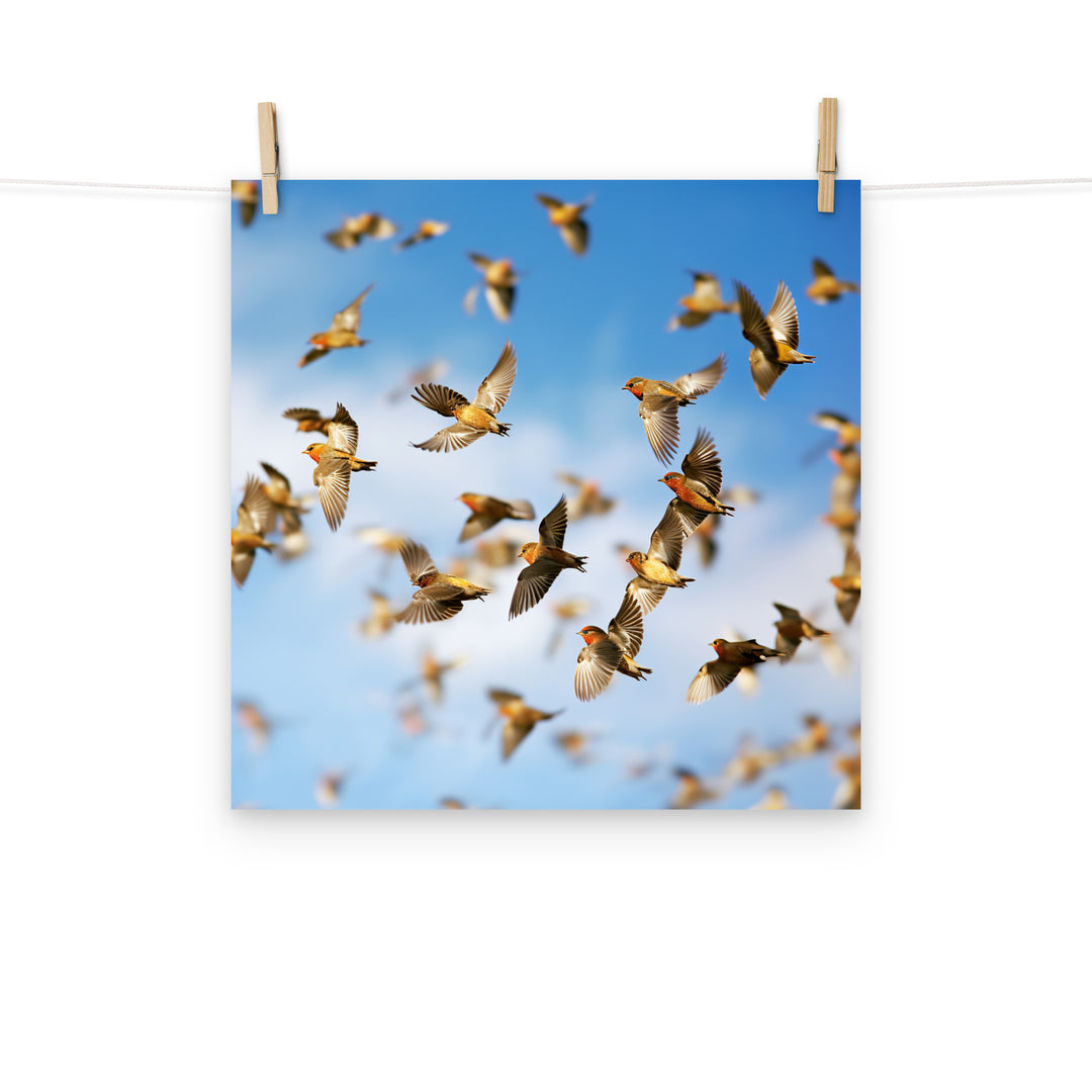 Finch Photo paper poster - PosterfyAI.com