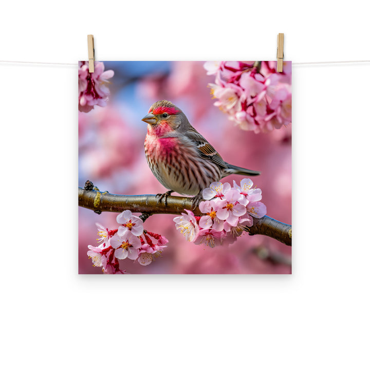 Finch Photo paper poster - PosterfyAI.com