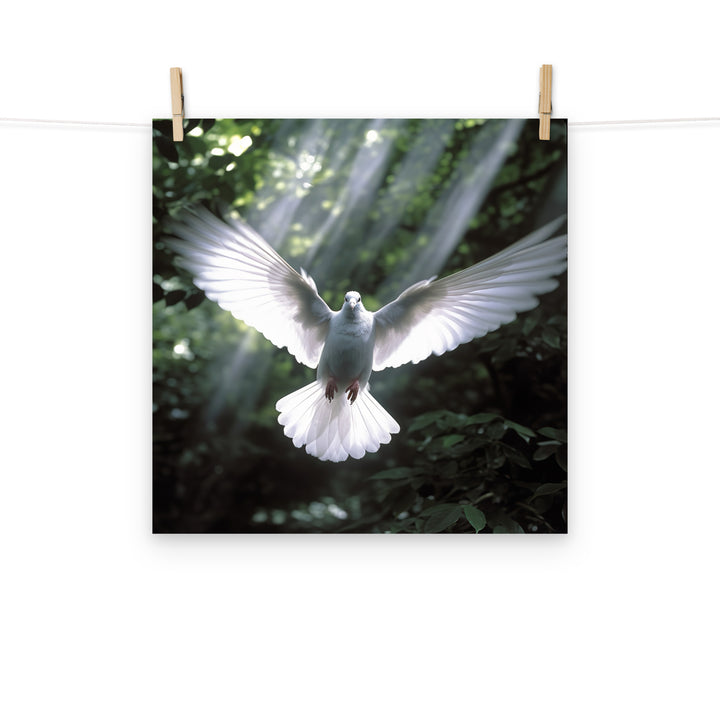 Dove Photo paper poster - PosterfyAI.com