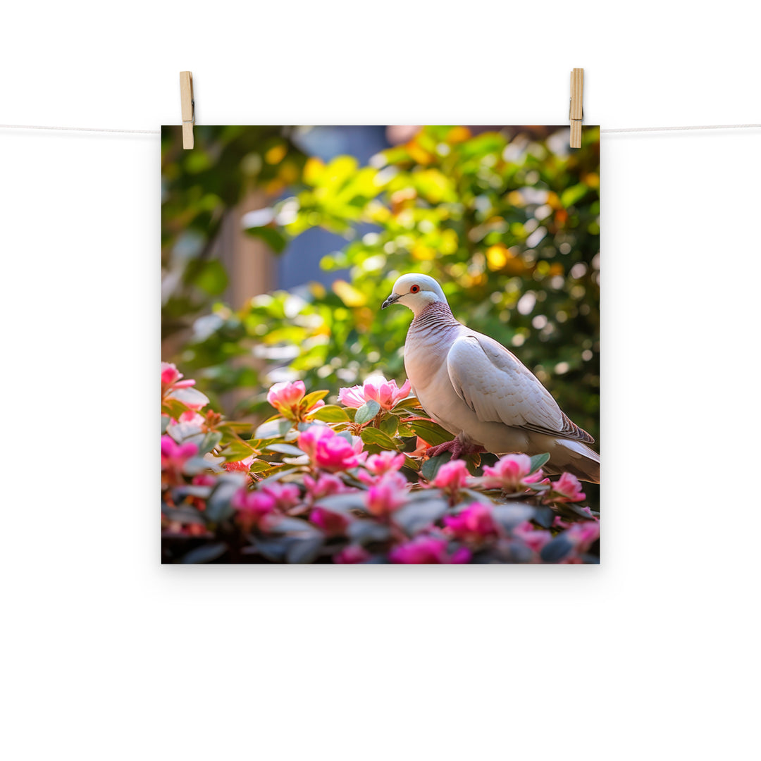 Dove Photo paper poster - PosterfyAI.com