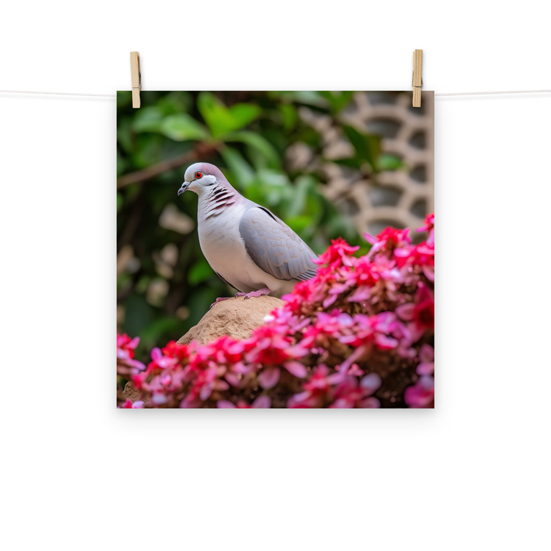 Dove Photo paper poster - PosterfyAI.com