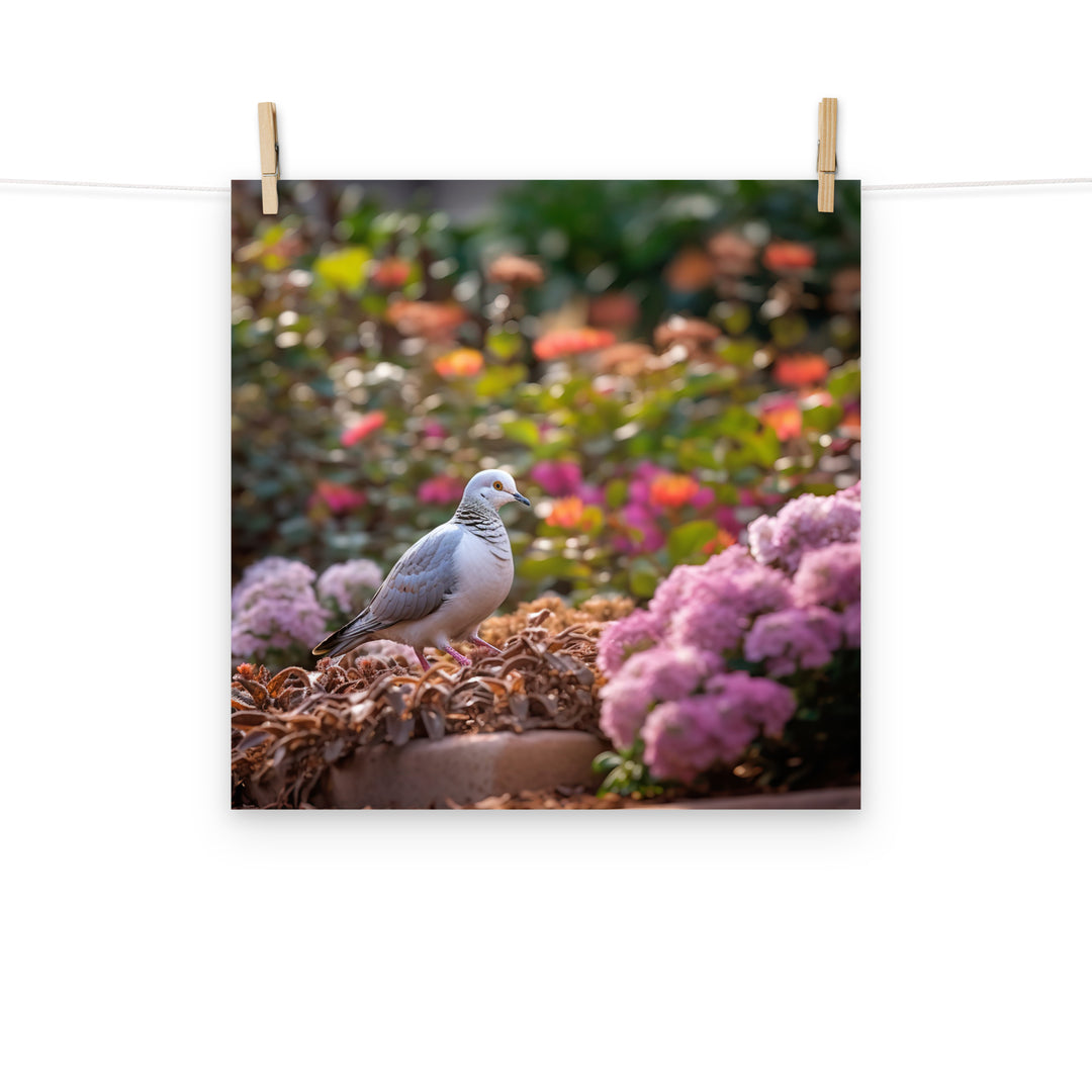 Dove Photo paper poster - PosterfyAI.com