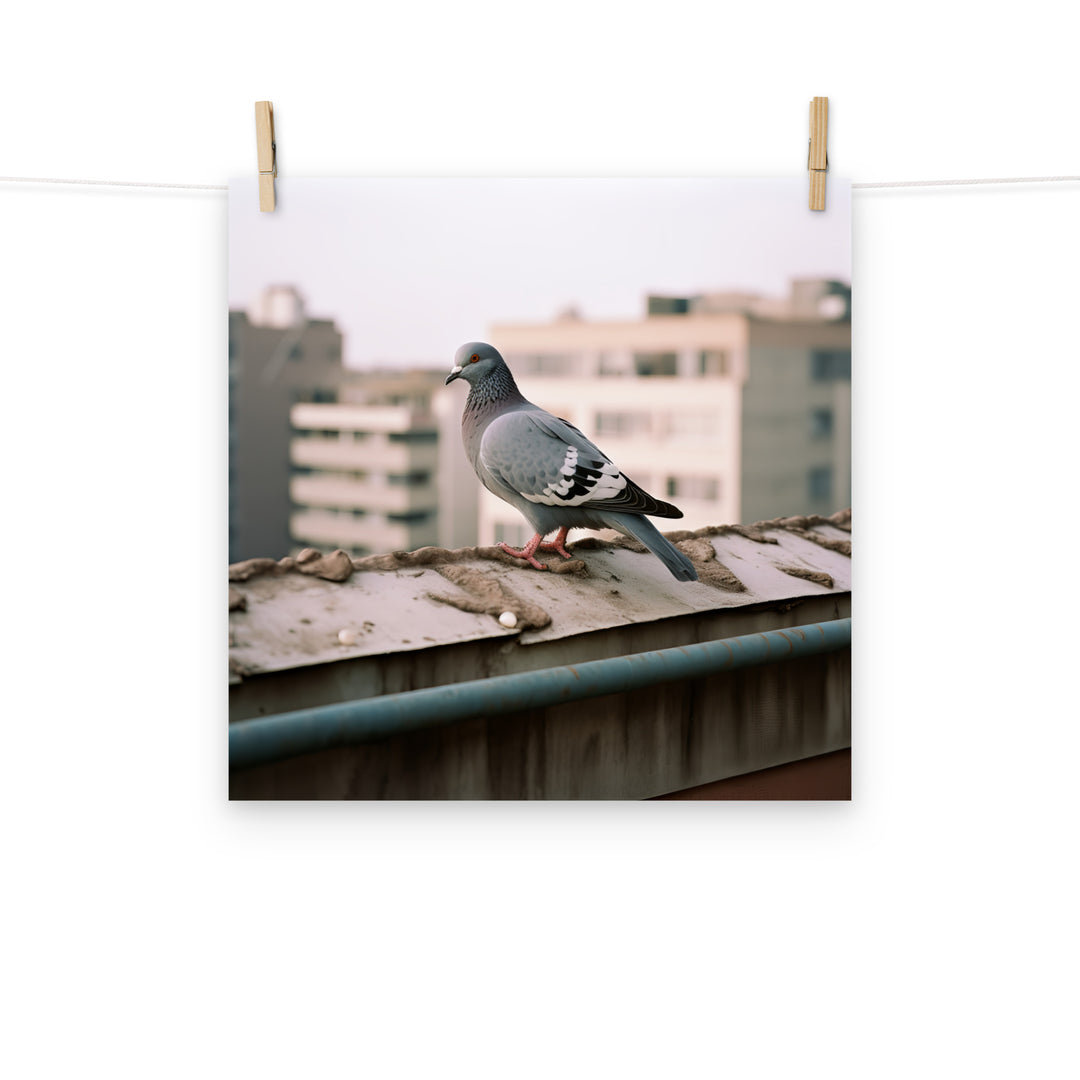 Pigeon Photo paper poster - PosterfyAI.com