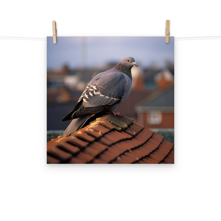 Pigeon Photo paper poster - PosterfyAI.com