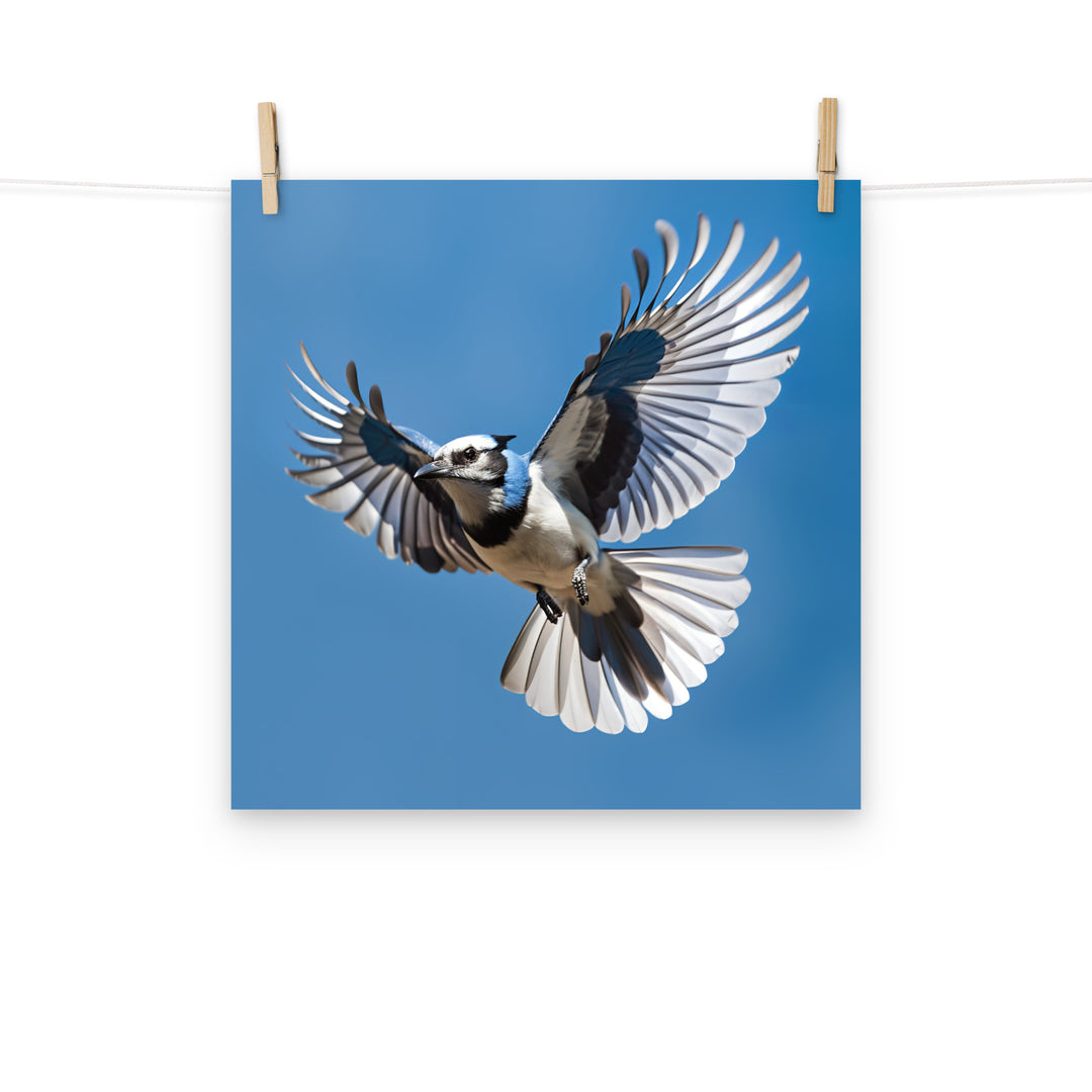 Jay Photo paper poster - PosterfyAI.com