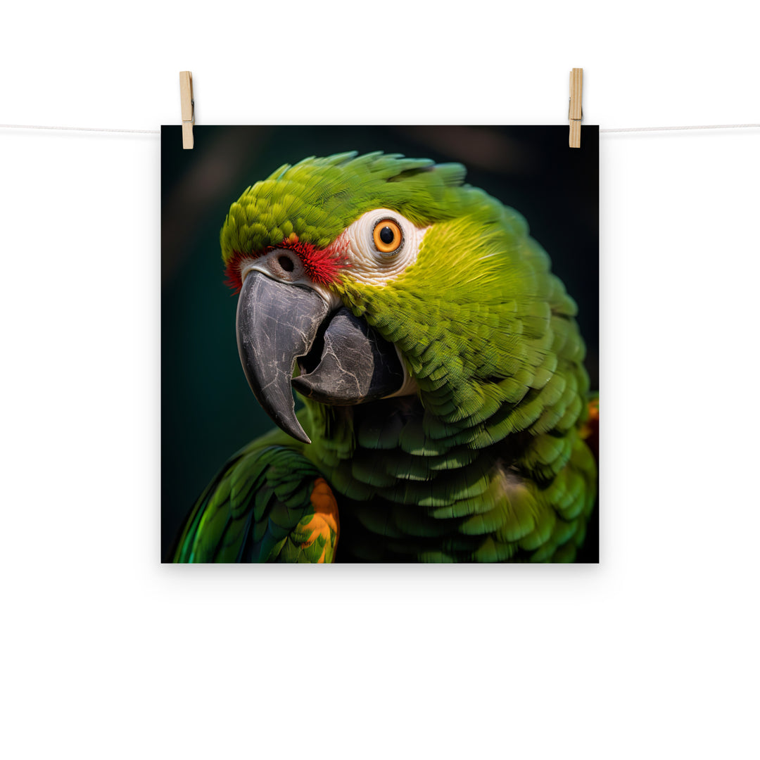 Parrot Photo paper poster - PosterfyAI.com