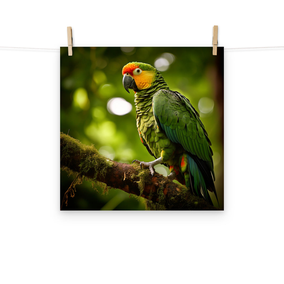 Parrot Photo paper poster - PosterfyAI.com