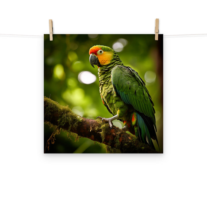 Parrot Photo paper poster - PosterfyAI.com
