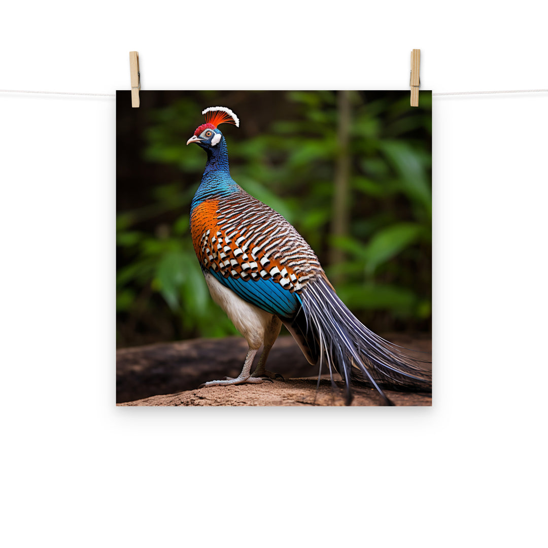 Pheasant Photo paper poster - PosterfyAI.com