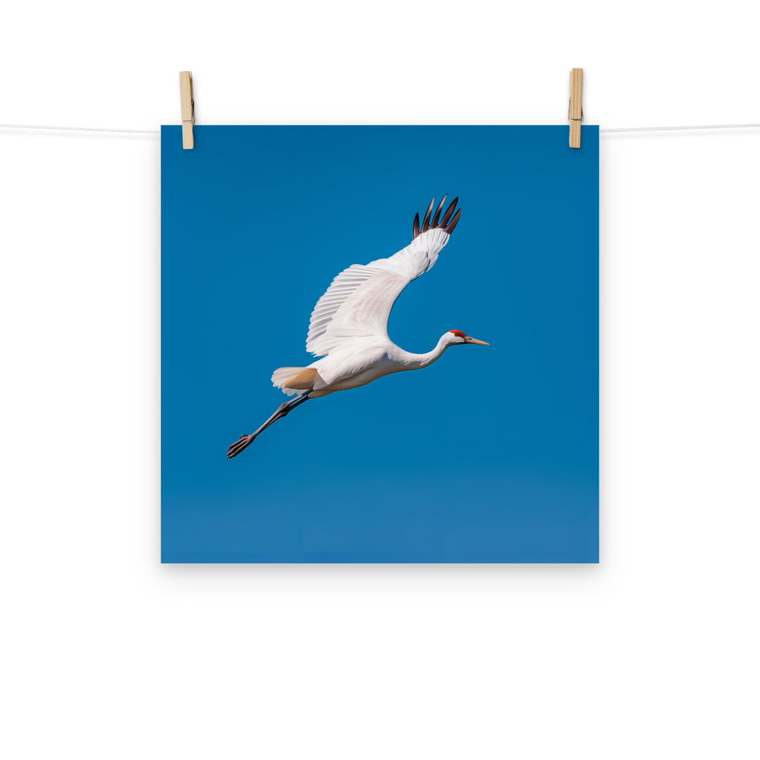 Crane Photo paper poster - PosterfyAI.com