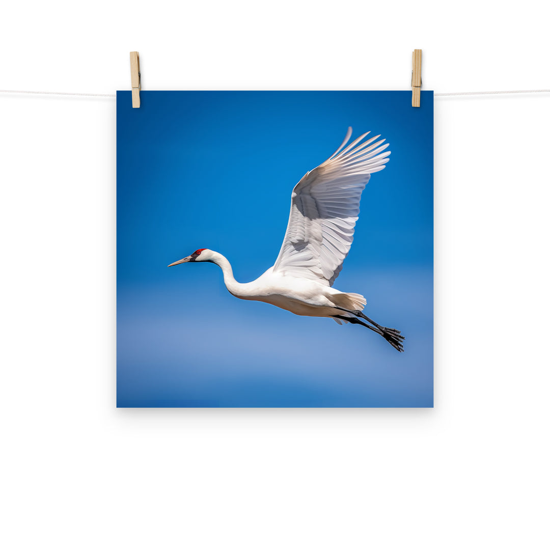 Crane Photo paper poster - PosterfyAI.com