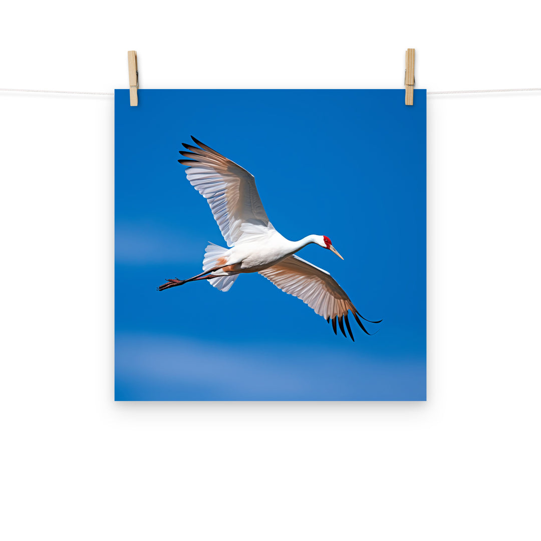 Crane Photo paper poster - PosterfyAI.com